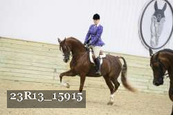 23R13_15915 thumbnail