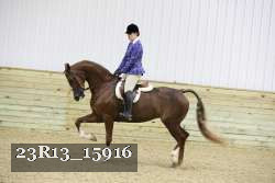 23R13_15916 thumbnail