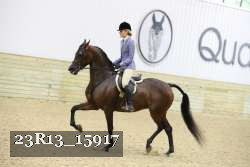 23R13_15917 thumbnail