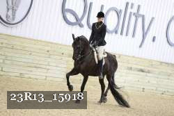 23R13_15918 thumbnail