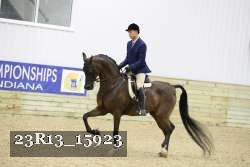 23R13_15923 thumbnail