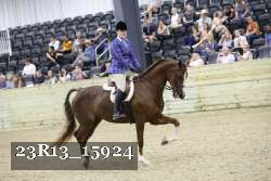 23R13_15924 thumbnail