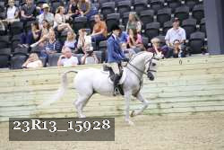 23R13_15928 thumbnail