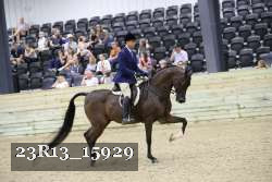 23R13_15929 thumbnail