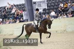 23R13_15930 thumbnail