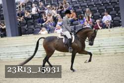 23R13_15931 thumbnail