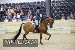 23R13_15932 thumbnail