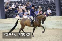 23R13_15933 thumbnail