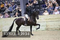 23R13_15934 thumbnail