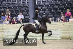 23R13_15936 thumbnail