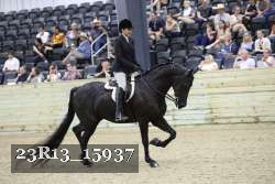 23R13_15937 thumbnail