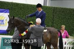 23R13_15938 thumbnail