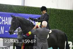 23R13_15942 thumbnail