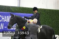 23R13_15943 thumbnail