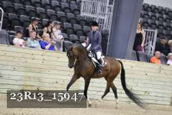 23R13_15947 thumbnail