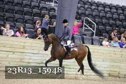 23R13_15948 thumbnail