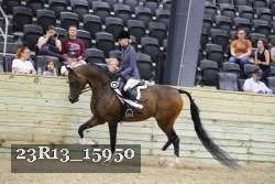 23R13_15950 thumbnail