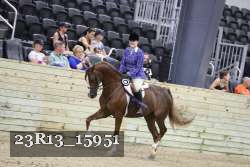 23R13_15951 thumbnail