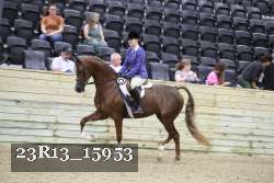 23R13_15953 thumbnail