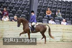 23R13_15954 thumbnail
