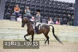 23R13_15955 thumbnail