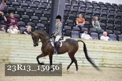 23R13_15956 thumbnail