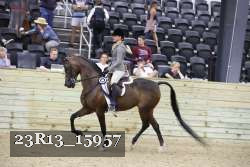 23R13_15957 thumbnail