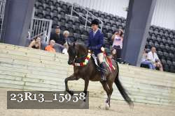 23R13_15958 thumbnail