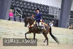 23R13_15959 thumbnail