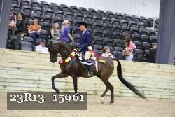 23R13_15961 thumbnail