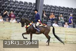23R13_15962 thumbnail