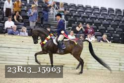 23R13_15963 thumbnail