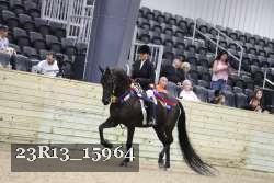 23R13_15964 thumbnail
