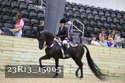 23R13_15965 thumbnail