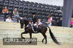 23R13_15966 thumbnail