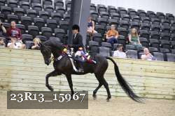 23R13_15967 thumbnail