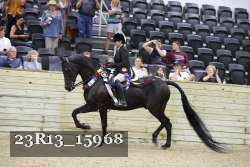23R13_15968 thumbnail