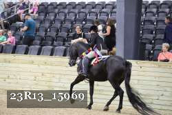 23R13_15969 thumbnail