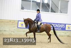 23R13_15995 thumbnail