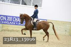 23R13_15996 thumbnail