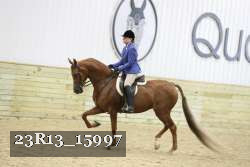 23R13_15997 thumbnail