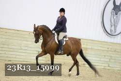 23R13_15999 thumbnail