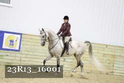 23R13_16001 thumbnail