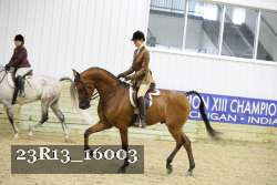 23R13_16003 thumbnail