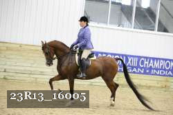 23R13_16005 thumbnail