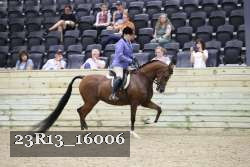 23R13_16006 thumbnail