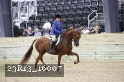 23R13_16007 thumbnail