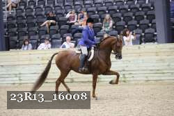 23R13_16008 thumbnail