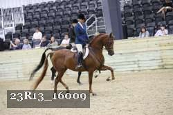 23R13_16009 thumbnail