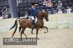 23R13_16010 thumbnail